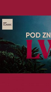 #RMFClassic | Od dziś w RMF Classic wszystko będzie POD ZNAKIEM LWA 🦁! ⚫️ Słuchajcie radia i wygrywajcie bilety na koncert „Disney. Król Lew” w trakcie Festiwalu Muzyki Filmowej w Krakowie (@fmf.krakow), maskotki i albumy o zwierzętach afrykańskich! ⚫️ Szczegóły na rmfclassic.pl! | RMF Classic