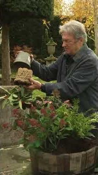 This Winter Container Combos Will Save Your Garden🏵️