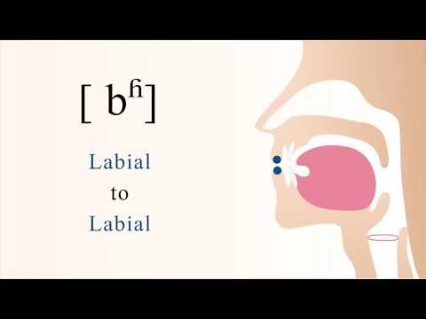 [ bʱ ] voiced aspirated bilabial stop