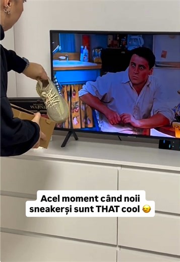 Aprobă și Joey… cu puțină întârziere! 😂 #friends TikTok