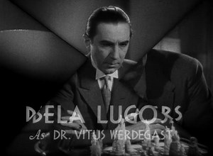 The Black Cat (1934)