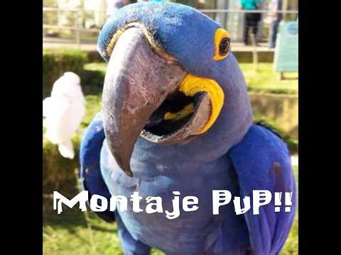 Minecraft PS3 - Montaje PvP (Build uhc)