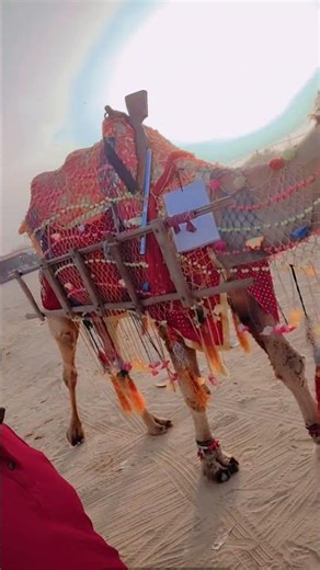 gogamedi Temple Bagad wala jaharveer baba