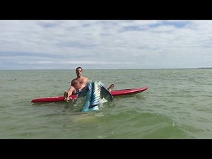 Paddleboarders Capture Real Mermaid Footage...