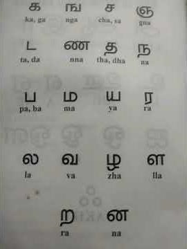 How to Write Tamil Letters|spoken Tamil|Learn Tamil through English|#spokentamil