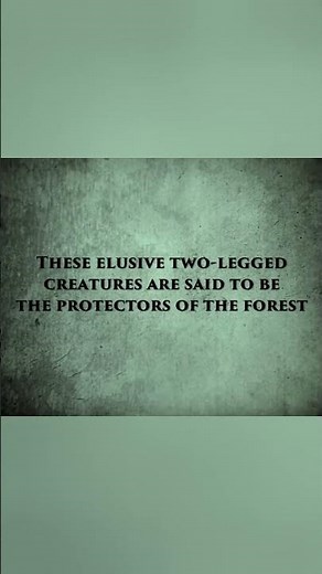 Are Nightcrawlers Real? You Decide