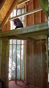 🚀 Epic Treehouse Build with Fireman’s Pole! My Son’s First Slide Down