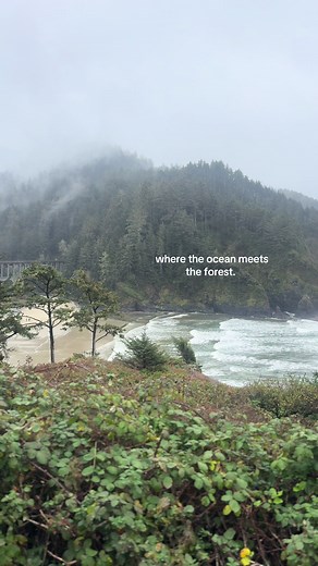 Northwind Apartments: Where the Ocean Meets the Forest