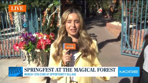 Inaugural Springfest at the Magical Forest