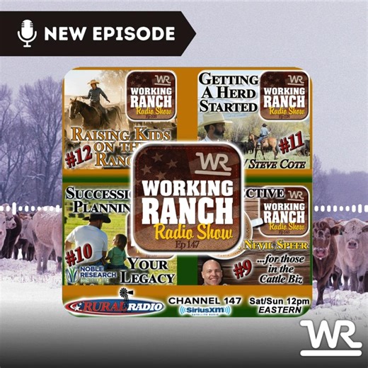 New Episode 147: Counting Down Top 12 Shows of 2023: 12 to 9...