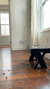 Tired of muddy paw prints tracking through your house? 🐾 Our ultra-absorbent Muddy Mats trap dirt and water instantly, keeping your floors clean and dry. | Muddy Mat