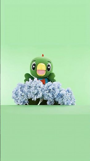 しまじろうと「あじさい」｜とりっぴい｜しまじろうのわお！｜しまじろうチャンネル公式