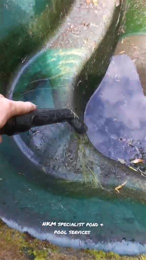 Not every pond is fancy and massive. Even the small ones need regular maintenance | NKM Specialist Pond & Pool Services