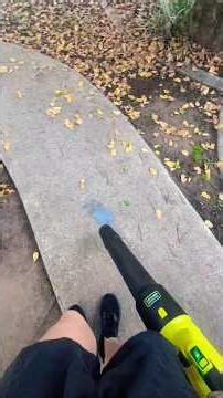 Leaf blowing is like a video game. Those leaves don't stand a chance with this Ryobi leaf blower.