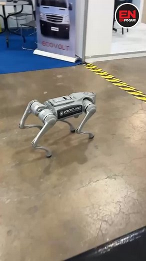 50 reactions · 3 comments | #AMOF2025 Los robots cuadrúpedos pueden ser usados en materia de seguridad para la detección de armas. Ademas de que tiene resistencia a polvo, agua y hasta temperaturas elevadas lo cual podría funcionar para los cuerpos de bomberos. #americasmobilityofthefuture2025 #expomobility2025 | Enfoque Noticias | Facebook
