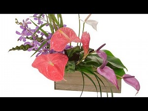 Tropical Flower Arrangement