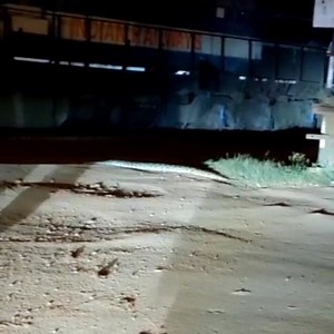 1.1M views · 1.2K reactions | Wild animals in city now a days... | Marvelous belgaum | Facebook