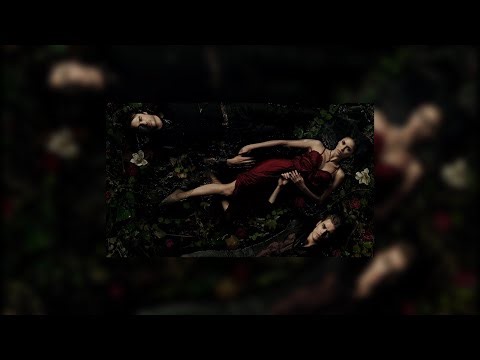 POV: You Fell in Love With a Vampire🩸🥀 The Vampire Diaries Playlist🌖