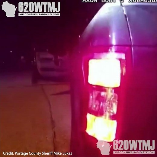 Wisconsin deputies extract HUGE Bobcat stuck in car! #shorts