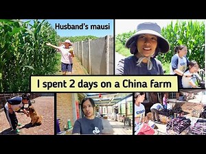 Husband's mausi invited us to her farmhouse | Rural Chinese food, farm, animals and crops