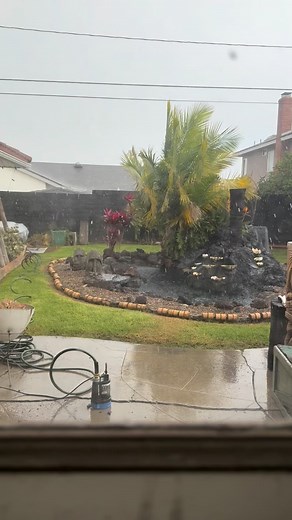 The Hula Girls on Reels