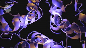 Milestones in diabetes