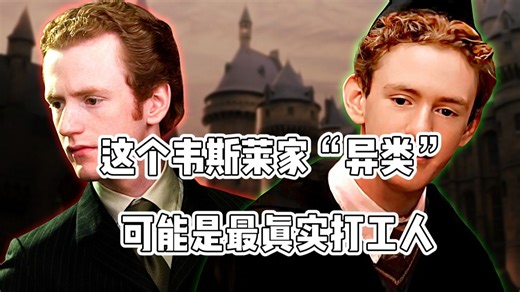 别再骂珀西·韦斯莱了！这个“官迷”可能是最真实的打工人