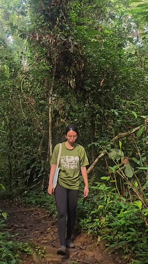 Gibbon Calls: Nature's Jungle Melodies