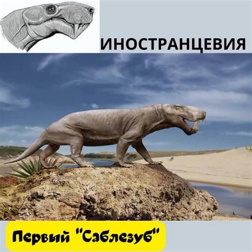 #палеонтология #paleontology #prehistoricanimals #extinctanimals #доисторическиеживотные #вымершиеживотные