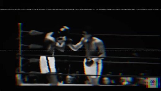 ملاكم دينكي على TikTok