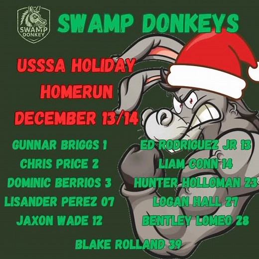 The Swamp Donkeys will be back at it this December @usssabaseball Holiday Homerun Tournament in @myclearwater #baseball #travelbaseball #baseballlife #baseballmom #florida | James Conn
