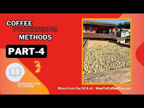Part 4 - SCA Introduction to Coffee Course_Coffee Processing