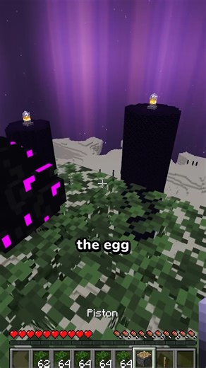 The Ender Dragon Egg | AcookieGod