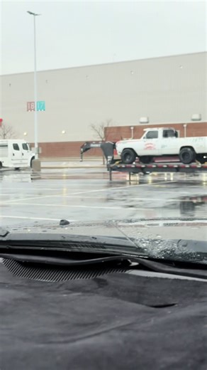 Top Truck Builds Showcase at Motorama Day 1