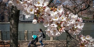 How warm will spring be? NOAA seasonal outlook shows who can pack up those winter coats