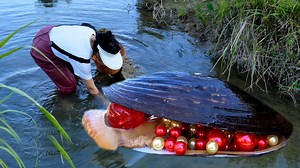 The girl opened a giant purple clam, filled with sparkling and charming pearls, priceless | Xiaohuiya