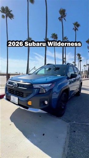 Subaru built a Forester you can sleep on top of.