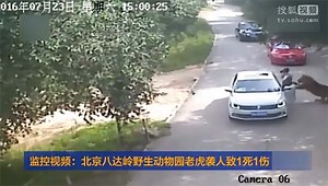 北京八达岭野生动物园老虎袭人致1死1伤