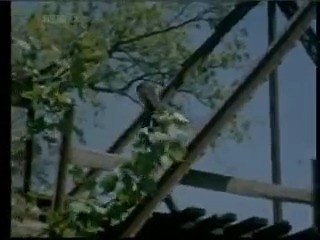 Bobby Gentry - Ode to Billy Joe | Best Music videos