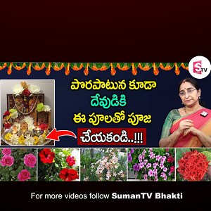 39 reactions · 6 comments | Ramaa Raavi - Flowers offered to Hindu Gods and Goddesses in pooja - SumanTV Bhakti #SumanTV #bhakti #god #pooja | SumanTv Devotional | Facebook