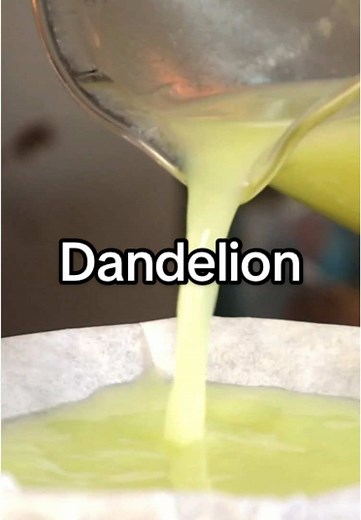 Satisfying Dandelion Paint Art