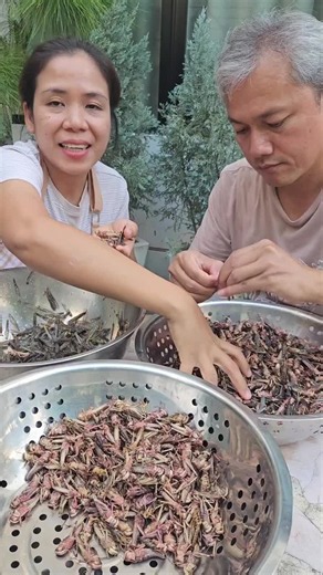 Fried Tipaklong Recipe: How to Cook Crispy Tipaklong Snack