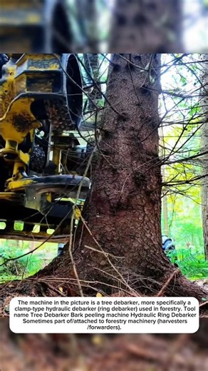 bark peeling technology tool#shortvideos #machinetechnology