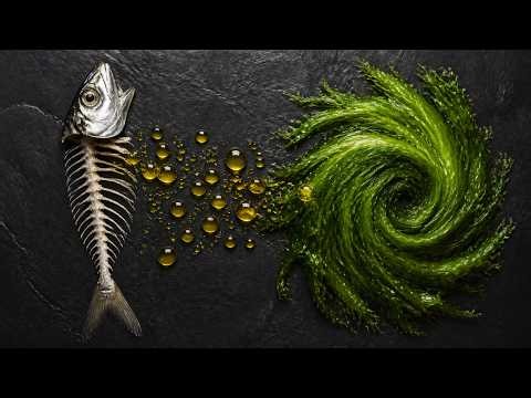 Algae Oil vs. Fish Oil: The Complete Comparison