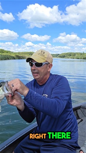 You can pour your own dice baits or make them. We have all you need to do it all at www.lurepartsonline.com | Lure Parts Online