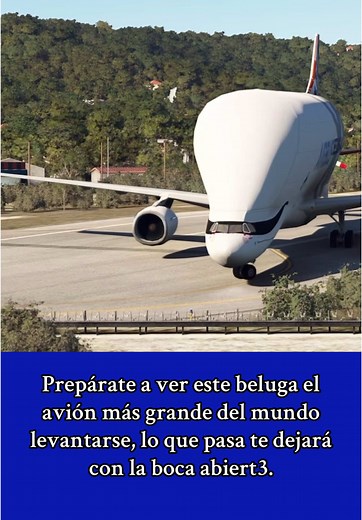 Discover the World’s Largest Aircraft: The Beluga