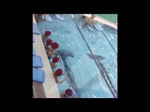 Japan Swimming School