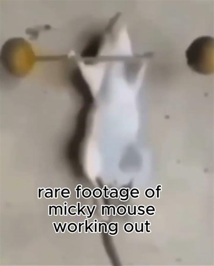 Rare Footage of mickey mouse working out