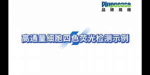 高通量细胞四色荧光检测示例
