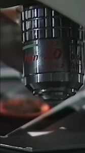 Hunting the Yorkshire Ripper PT53